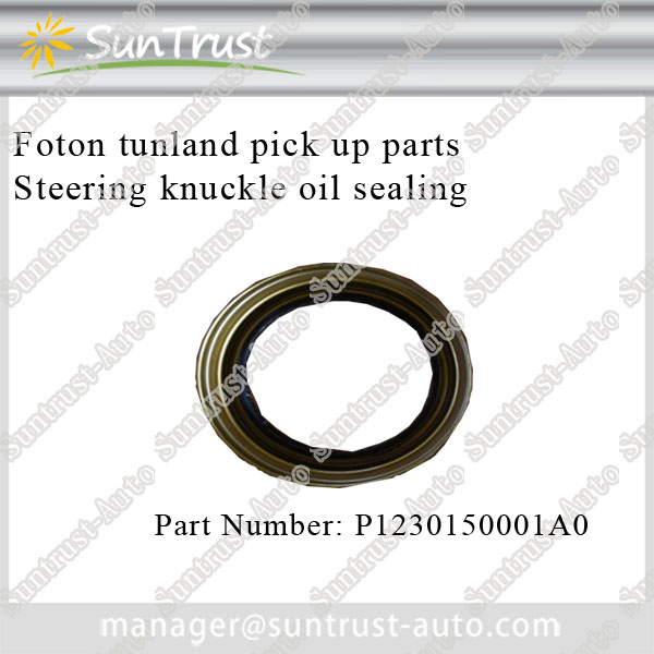 Foton Tunland parts, Steering knuckle oil sealing,P1230150001A0